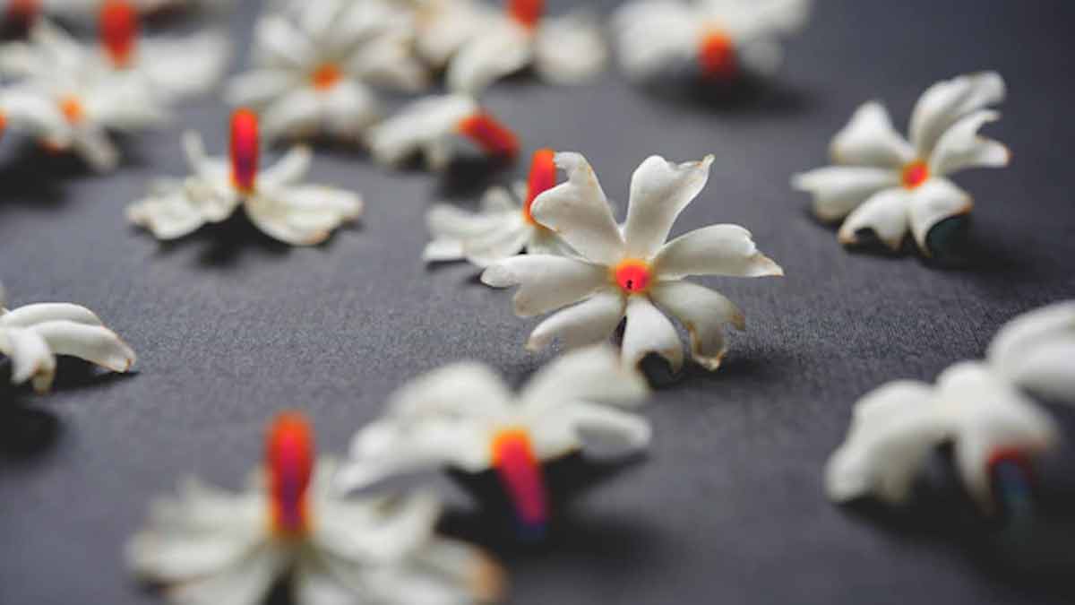 offer harsingar to ghanpati