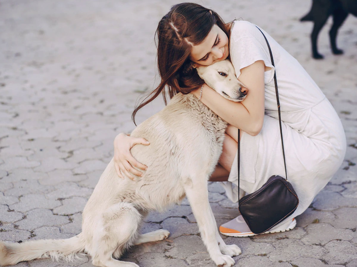 pets at home in these conditions