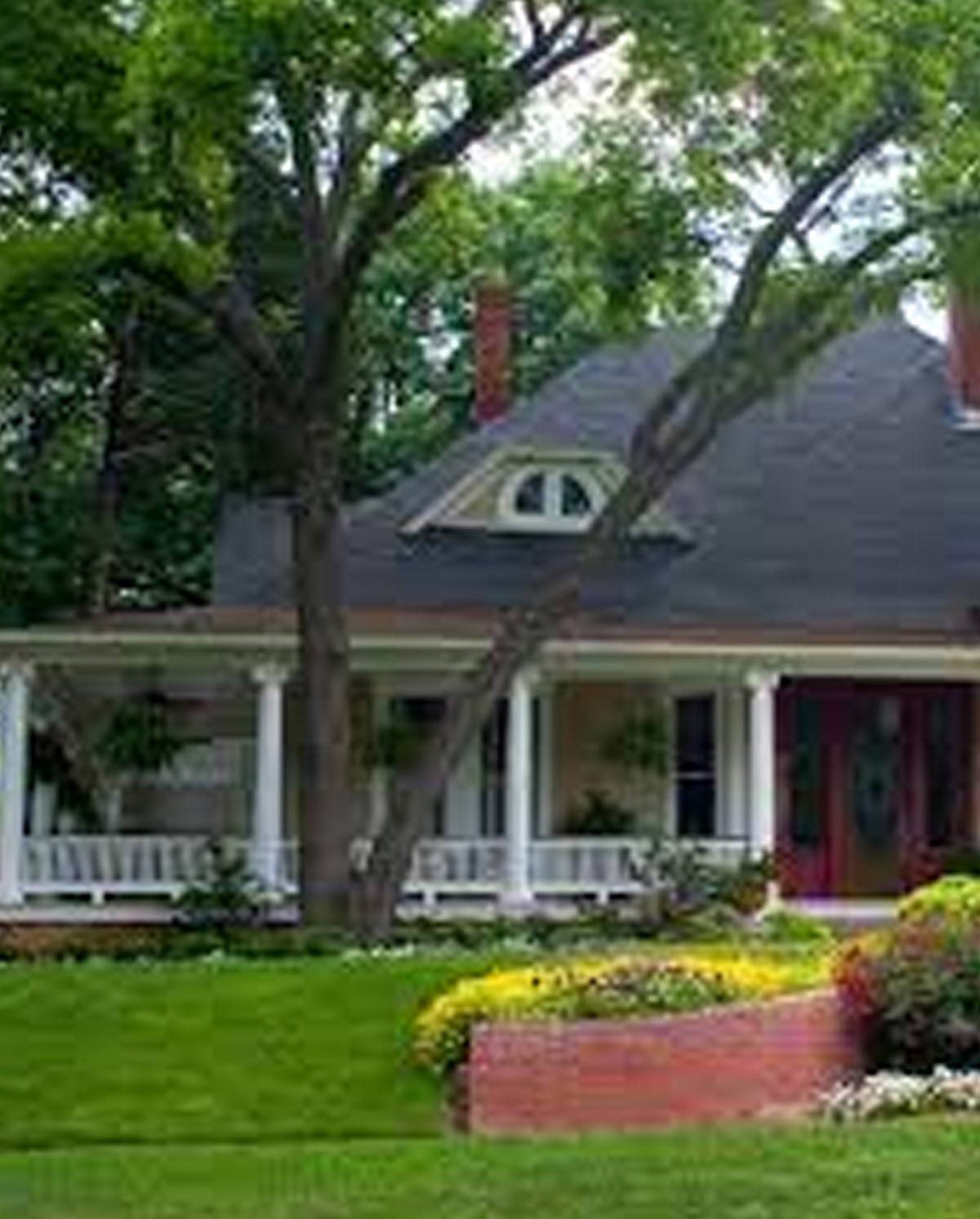 planting trees for planets