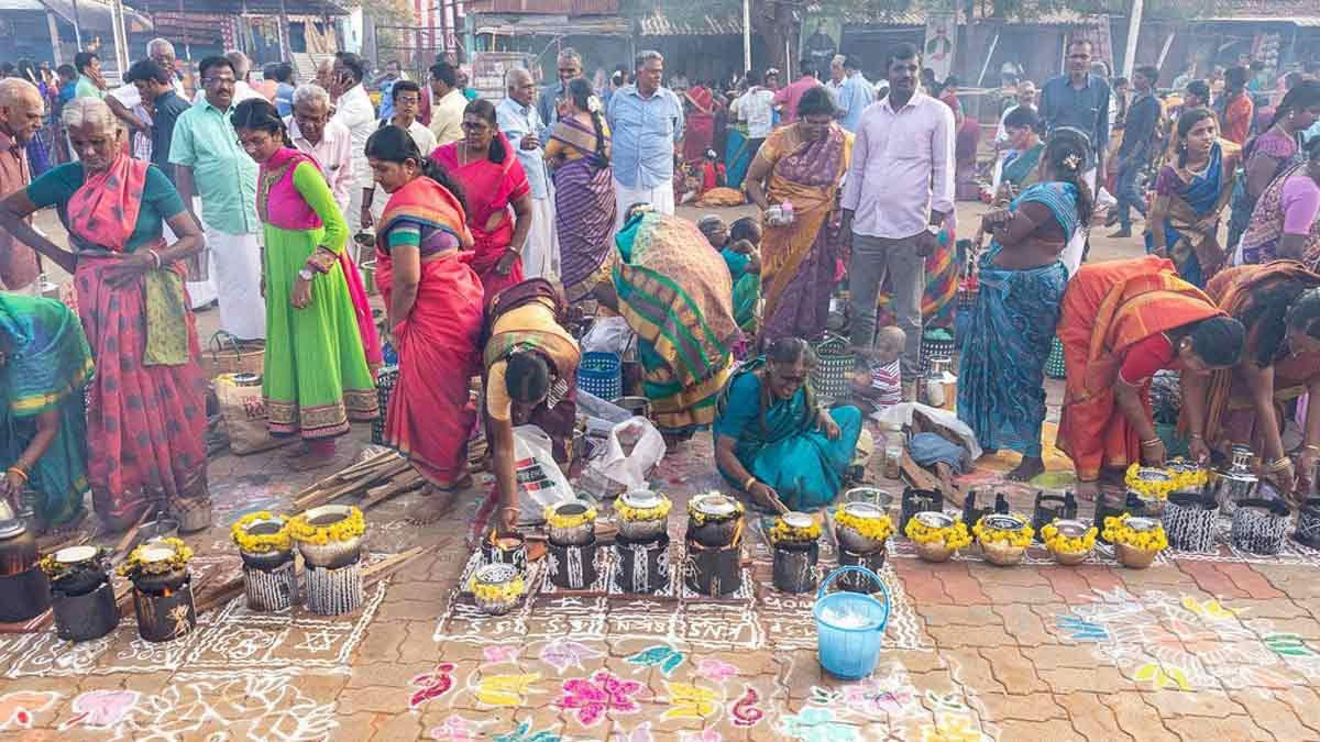 पोंगल का अर्थ जानते है आप pongal festival in hindi