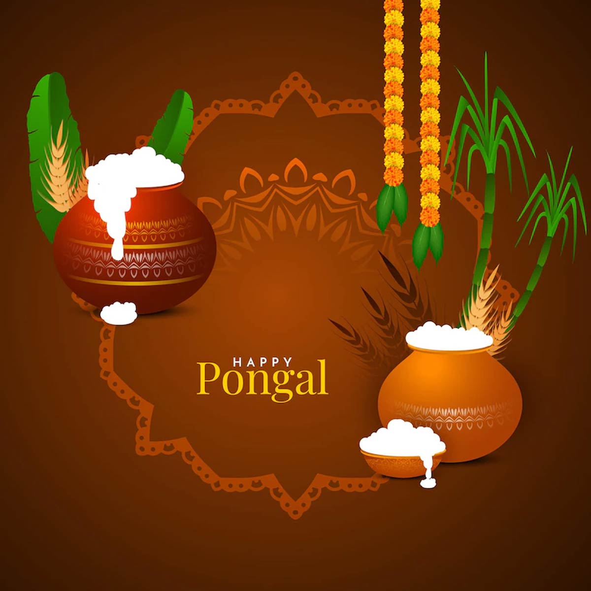 Happy Pongal Wishes 2023 WhatsApp Quotes & Messages Pongal 2023