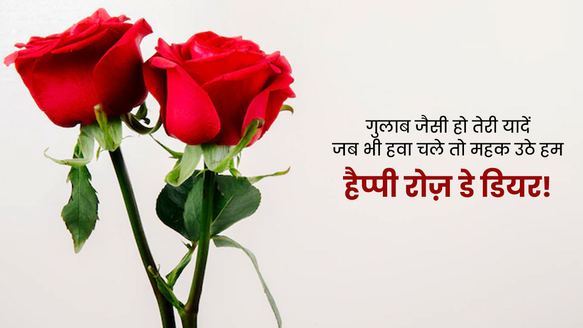 rose day   messages facebook and whatsapp status