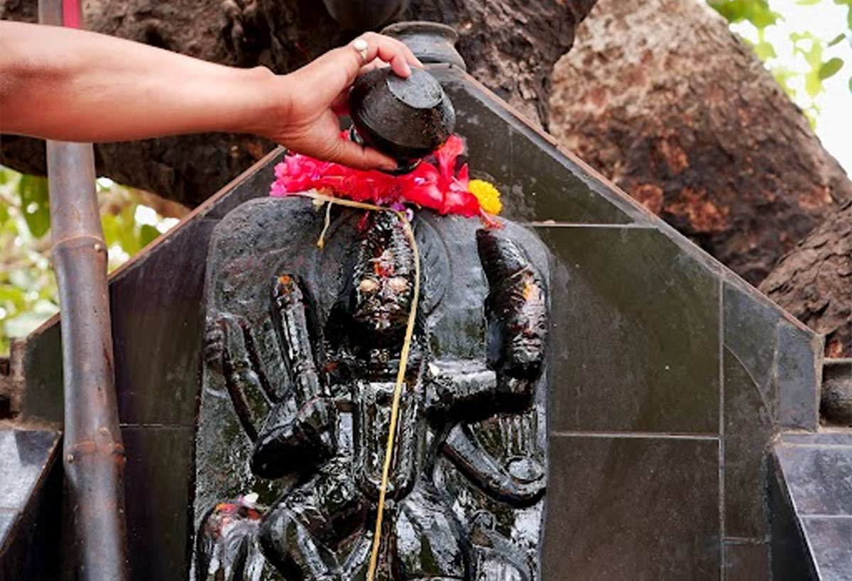 sarso ke tel ke upay