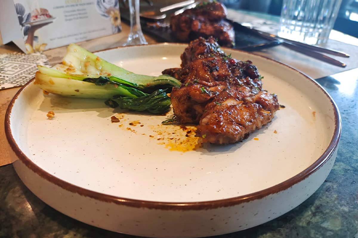 starter the weekend gardenia mall noida