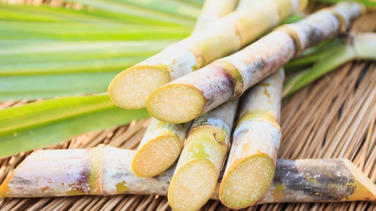 Water After Eating Sugarcaneகரும்பு சாப்பிட்ட உடன் தண்ணீர் why we