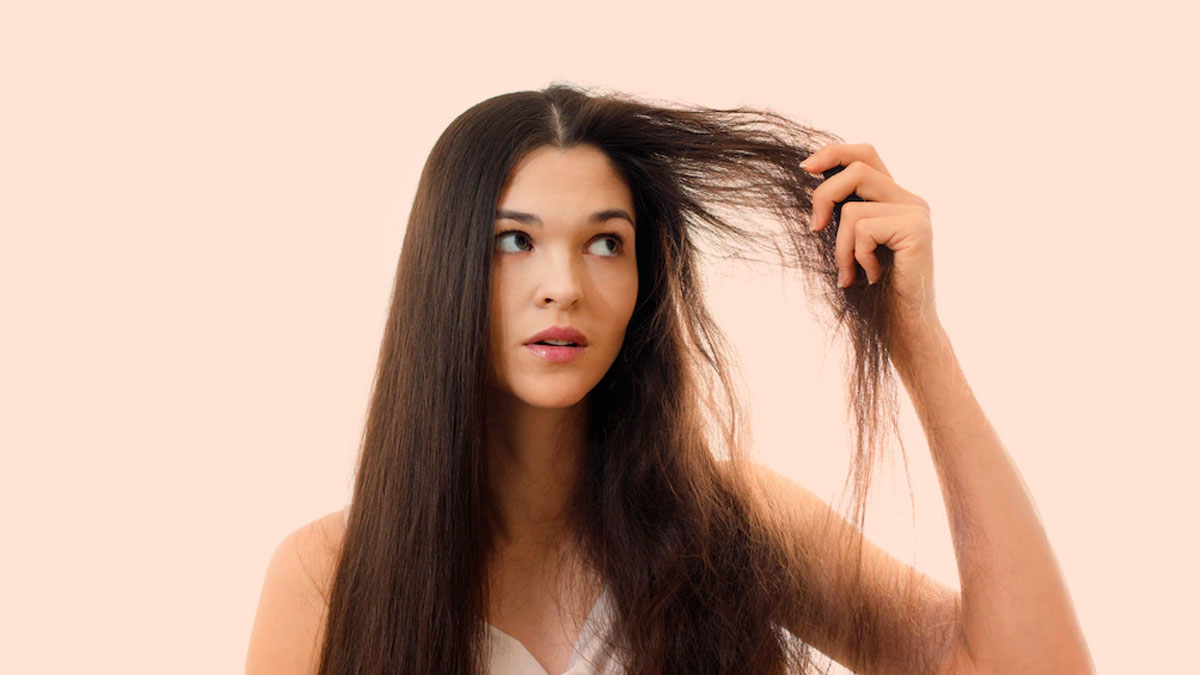 tips to use aloe vera gel for damaged hair in hindi