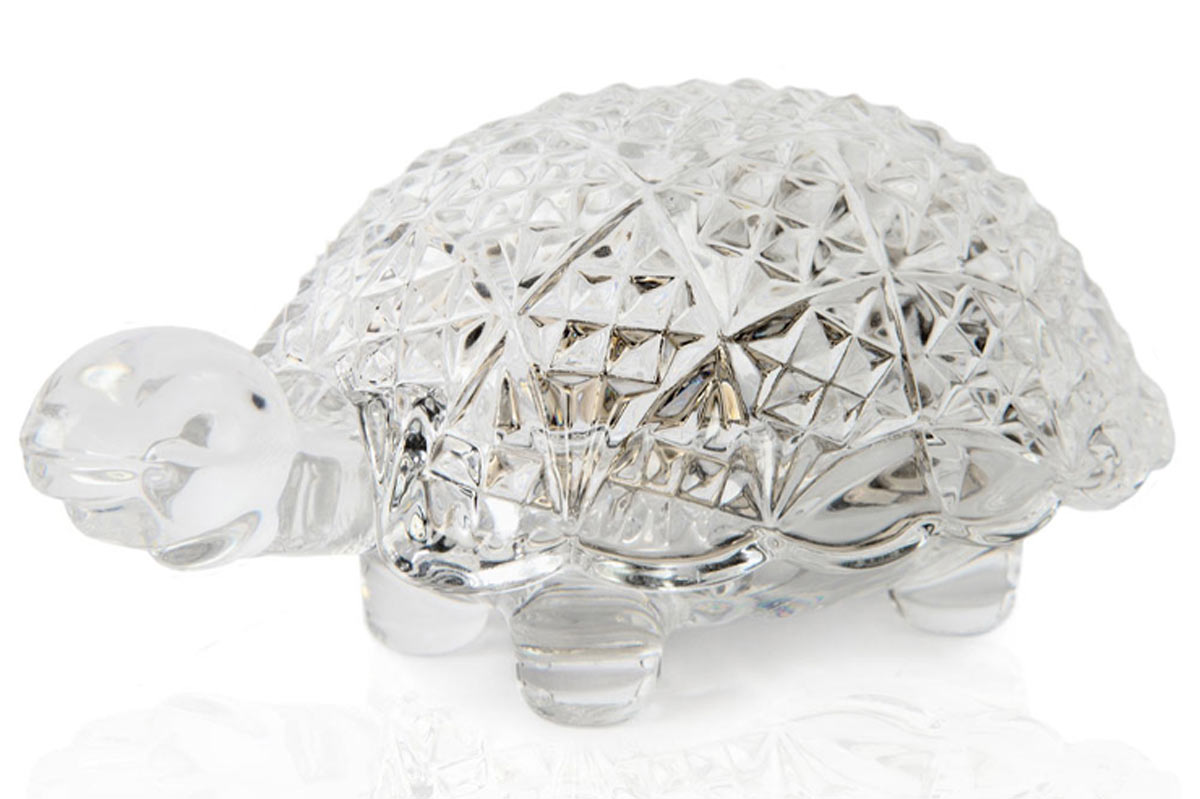 turtle at home vastu