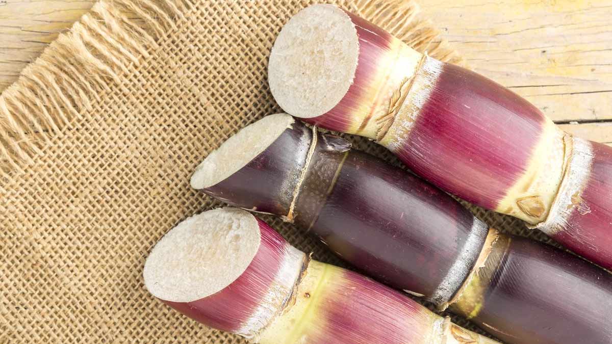 Water After Eating Sugarcaneகரும்பு சாப்பிட்ட உடன் தண்ணீர் why we