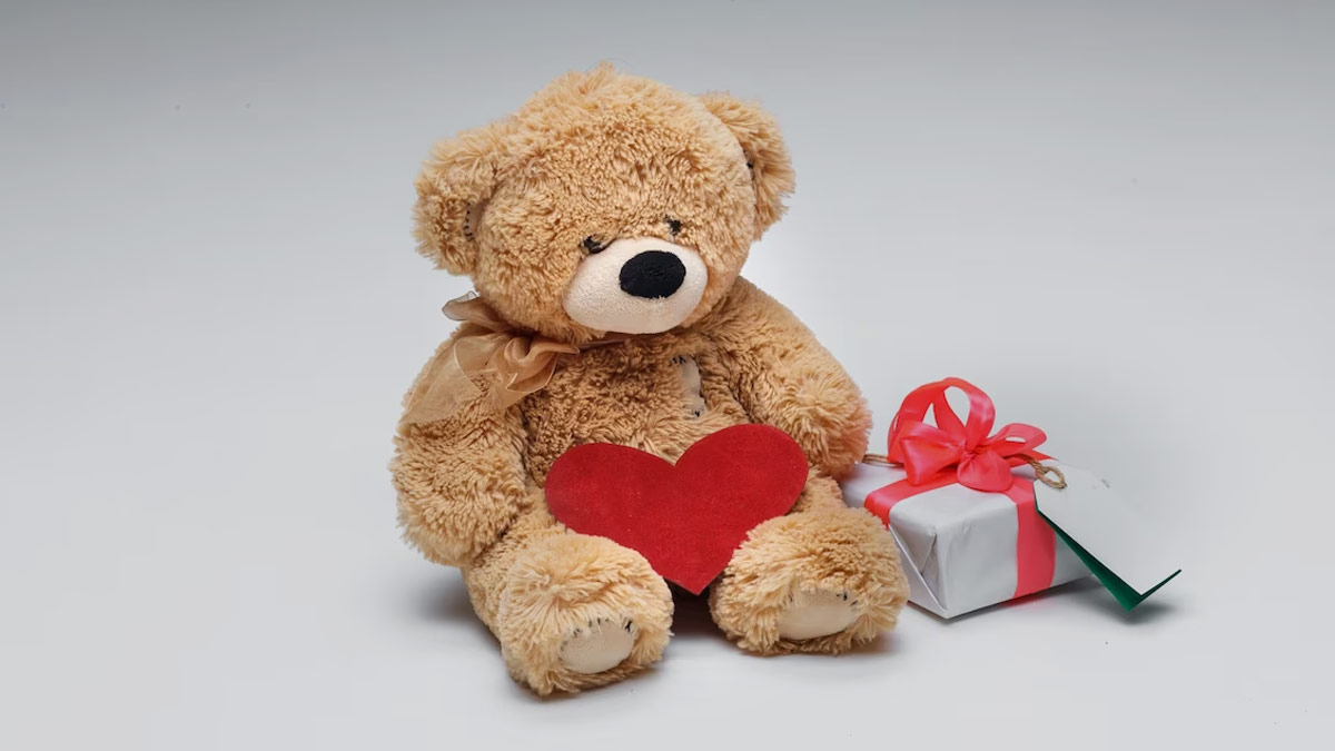 what is the meaning of different colour of teddy bear in hindi