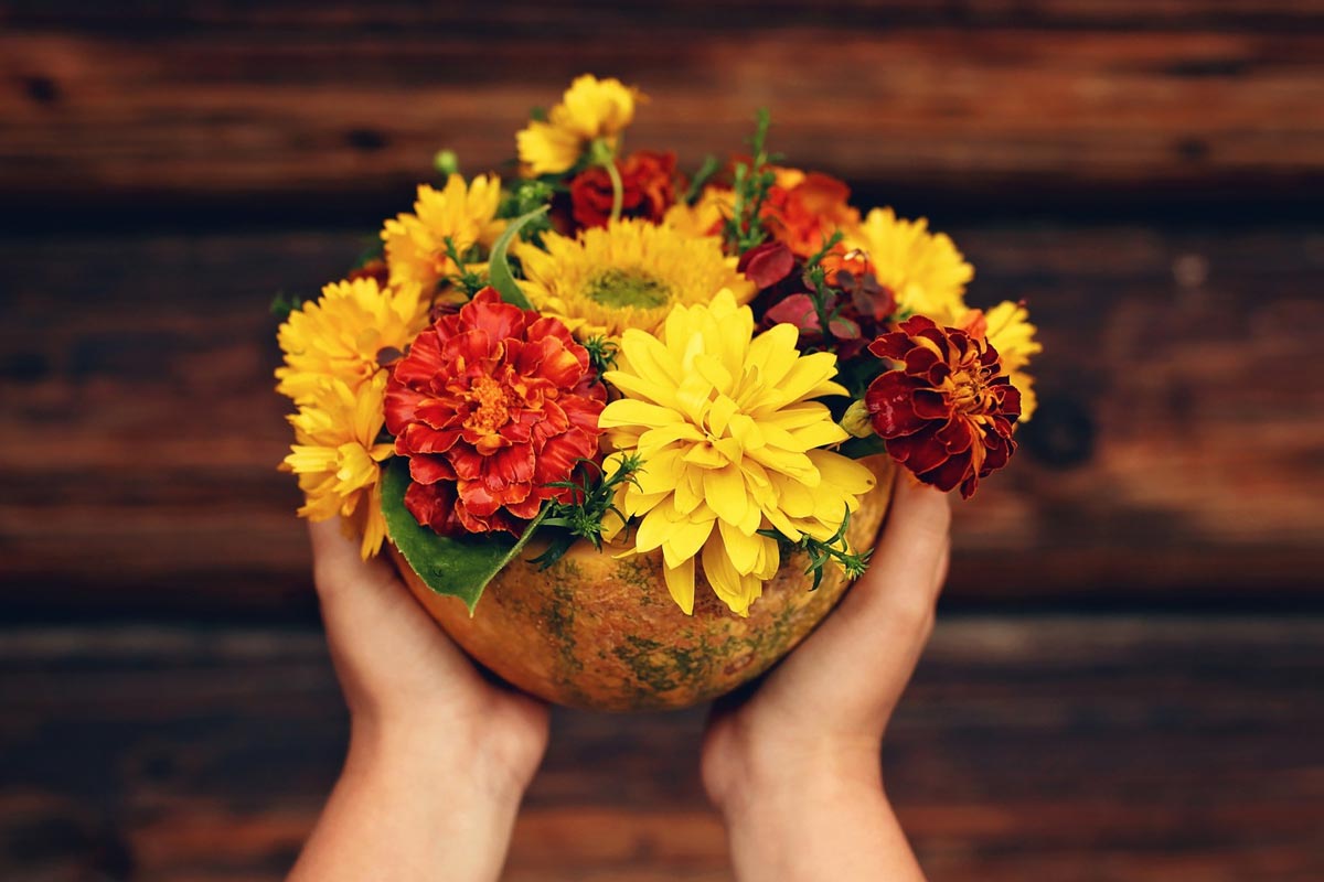 what to offer on basant panchami