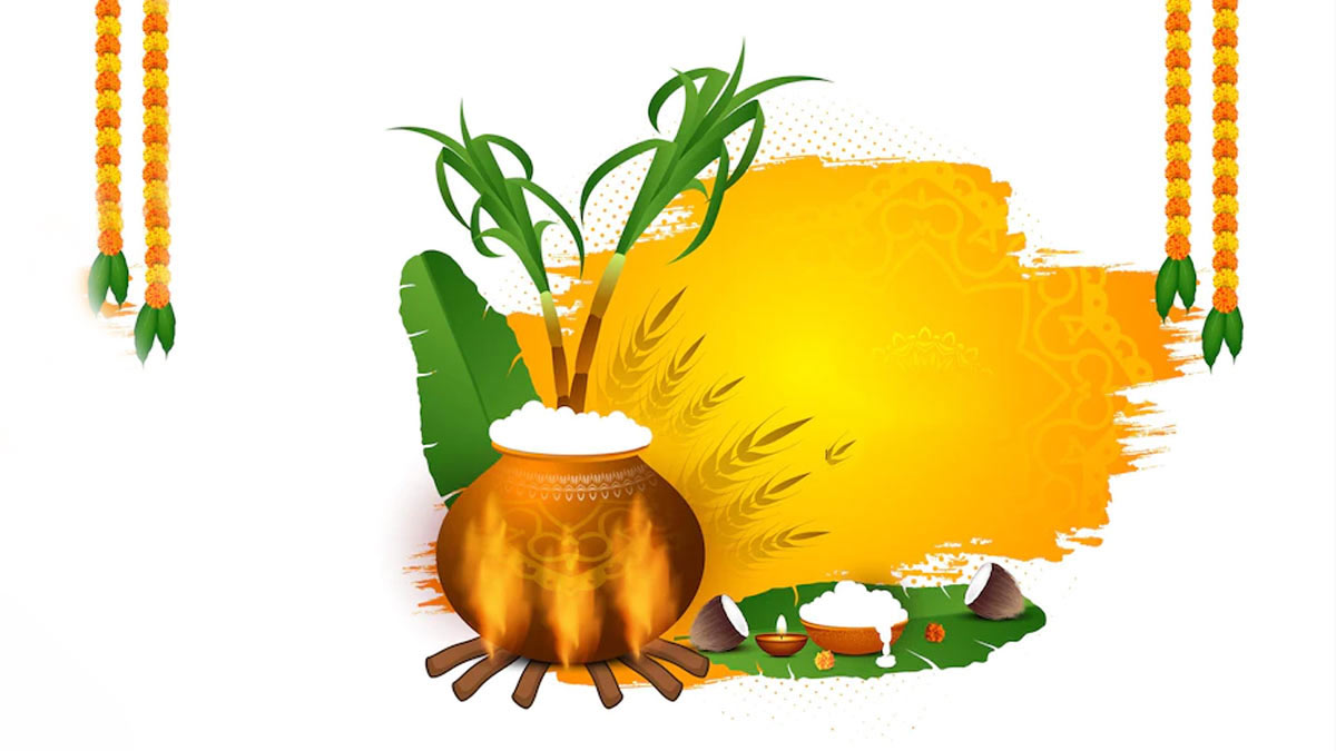 मवेशियों को करवाते है स्नान when is pongal