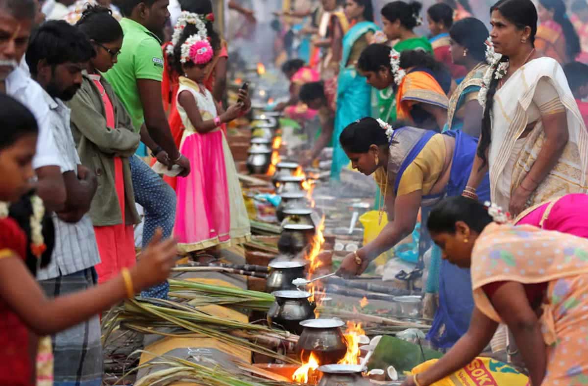 विशेष पूजा होती है where is pongal festival celebrated
