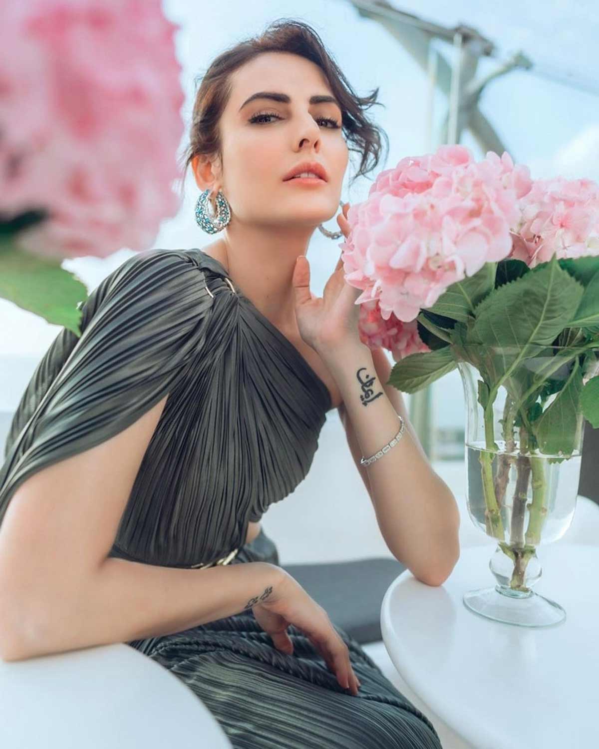 मंदना करीमी who is mandana karimi