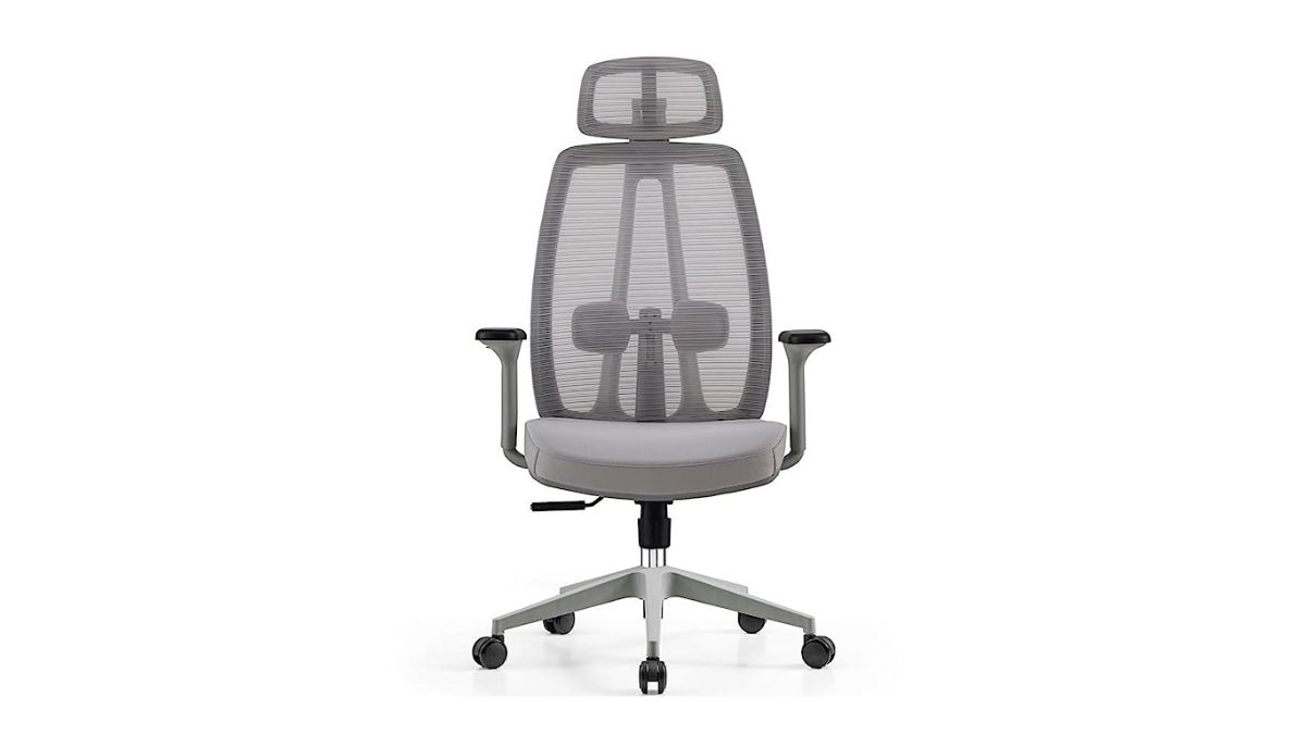 https://images.herzindagi.info/image/2023/Jul/Amazon-Sale-2023-D9-High-Back-Ergonomic-Chair-for-Office.jpg