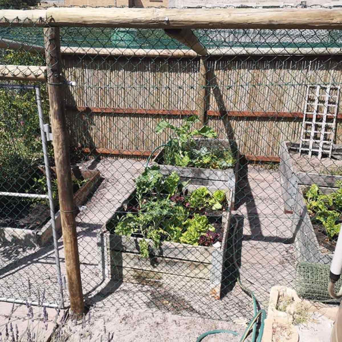 Anti monkey protection tips