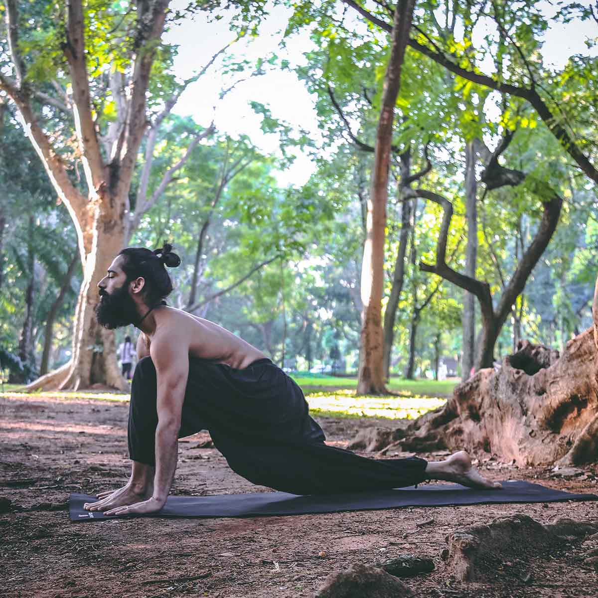 Ashwa sanchalan Asan