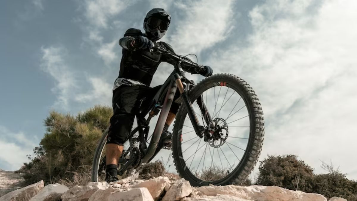 best mtb cycle brands