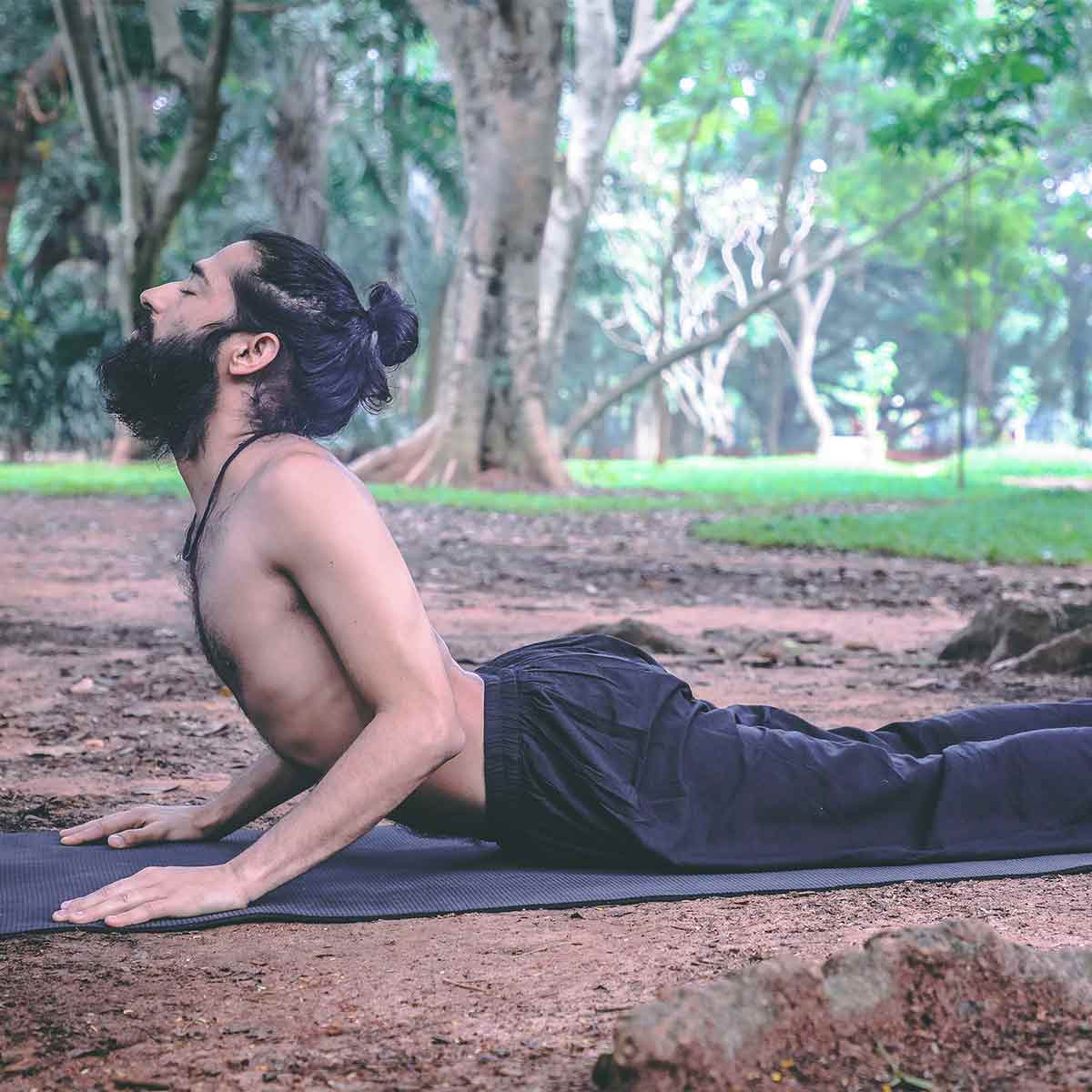 Bhujangasana