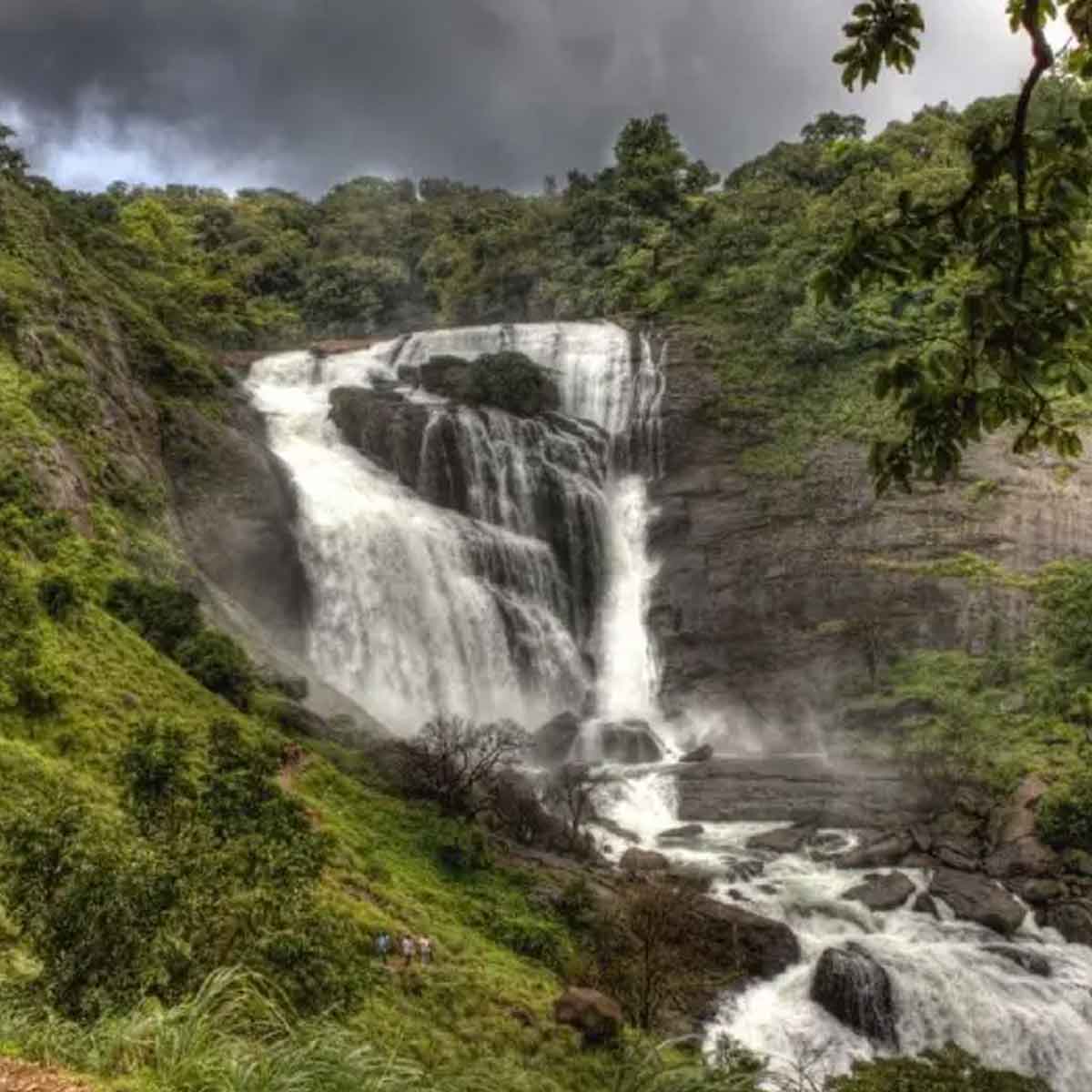 Coorg