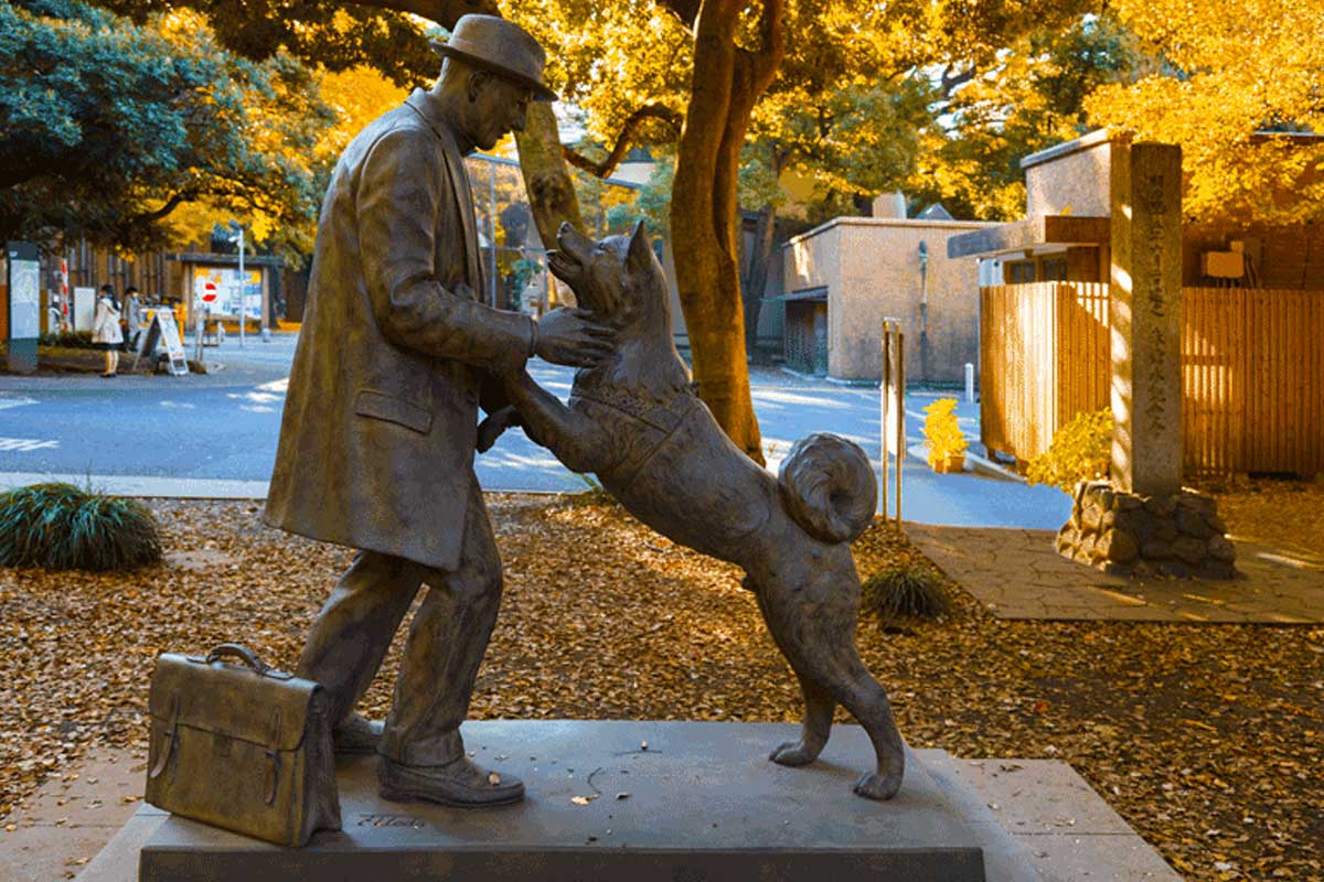 Hachiko’s Story