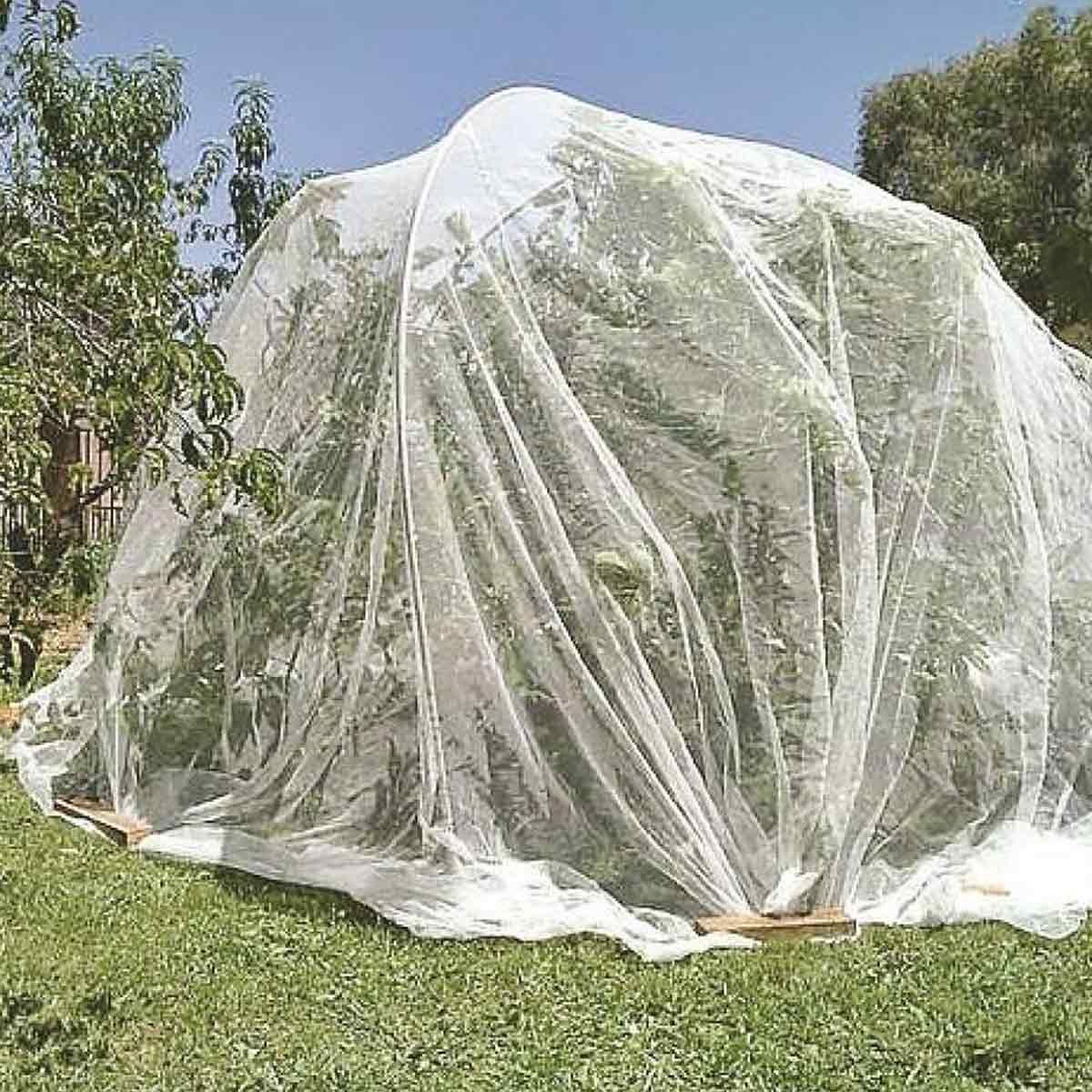 How to save monkey protection in hindi