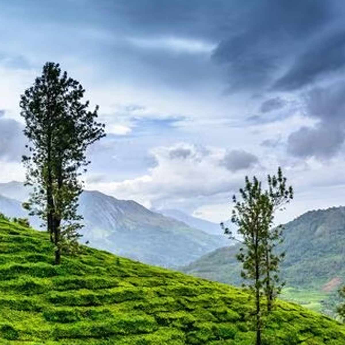 Travel Tips During Monsoons