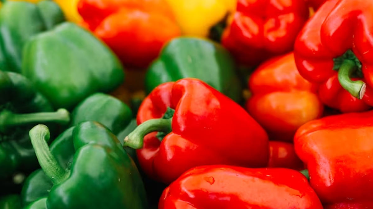 Capsicum Benefits : குடைமிளகாயில் இவ்வளவு நன்மைகள் இருக்கா, தெரிஞ்சா