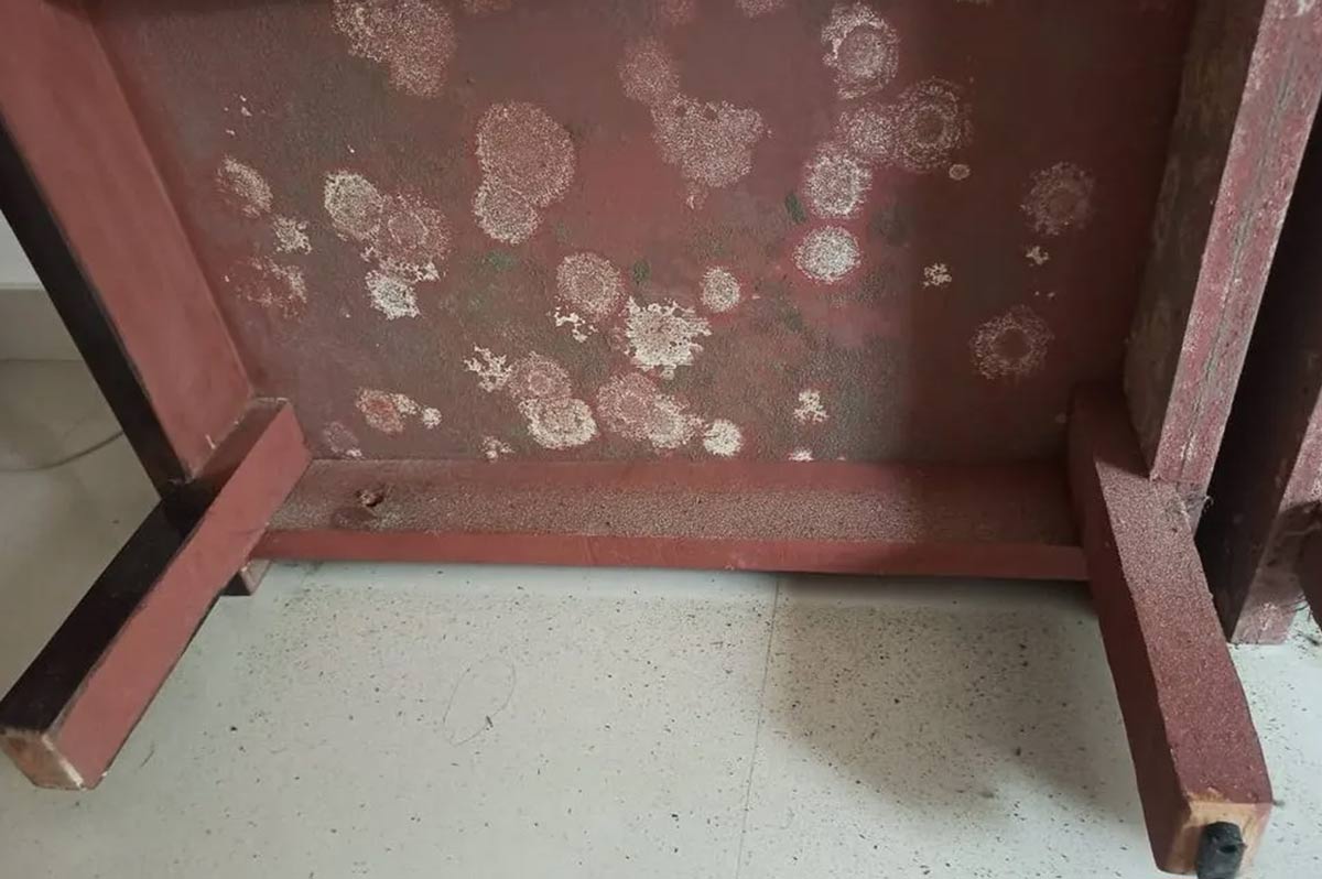 Monsoon Hacks कपड़ों की अलमारी में लग रही है फंगस तो अपनाएं ये हैक्स