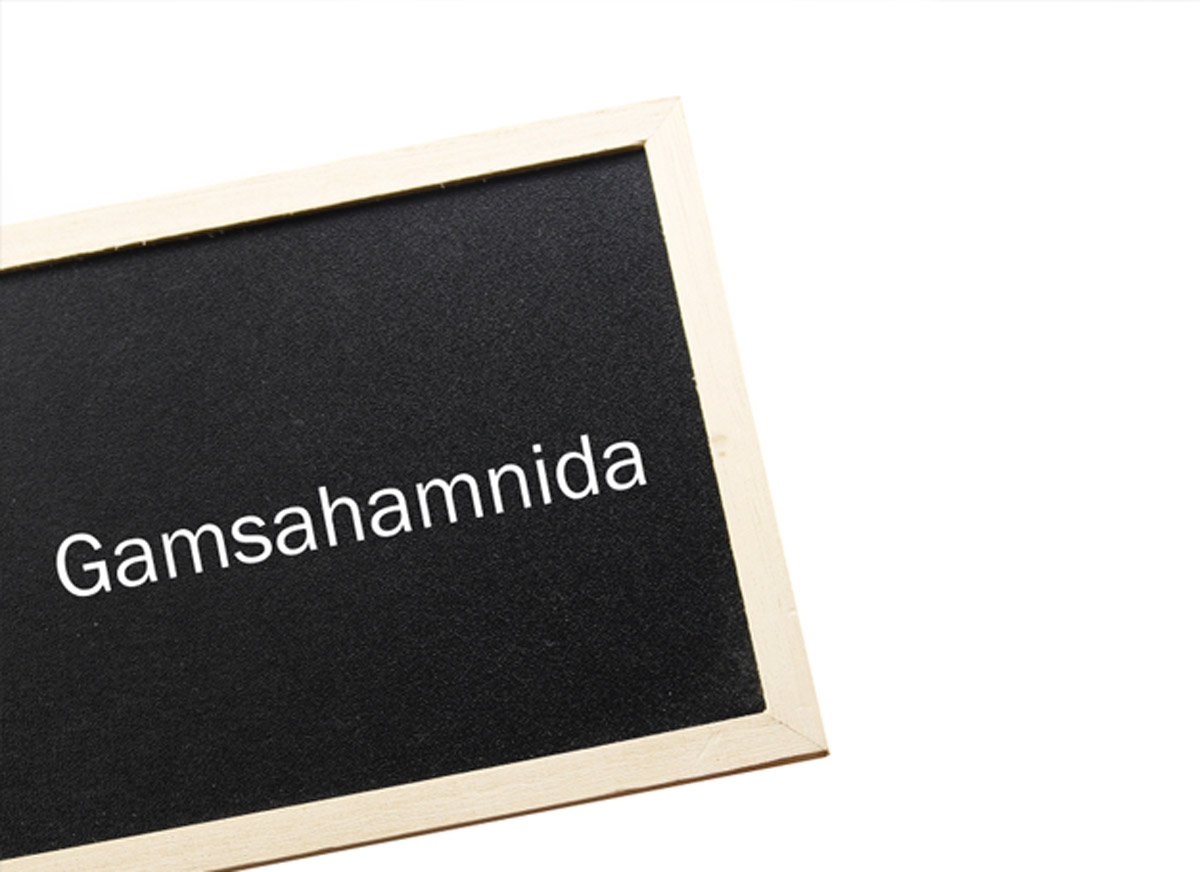 gamsahamnida thank you