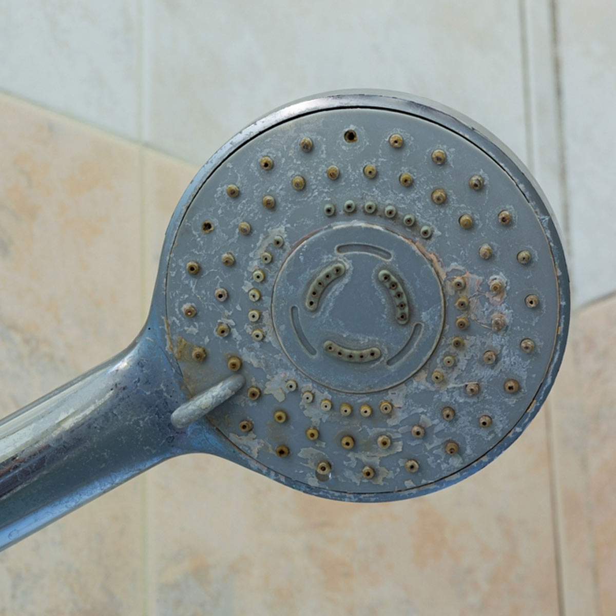 hand shower how to clean
