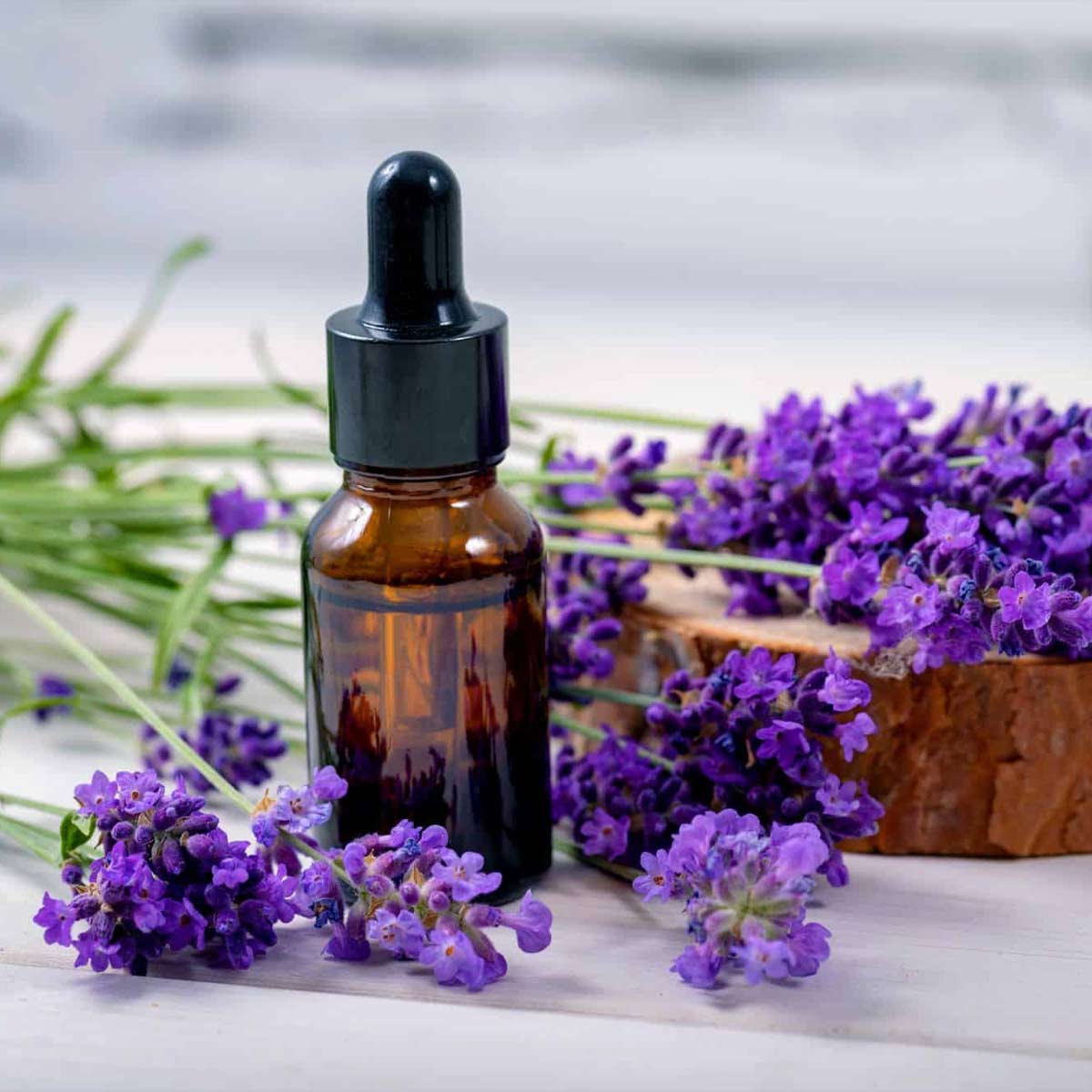 how to get rid of flying ants from home