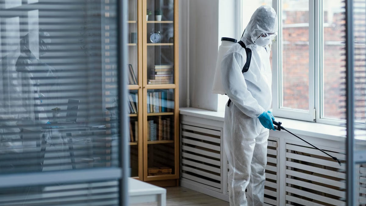 how to get rid of termites in wall