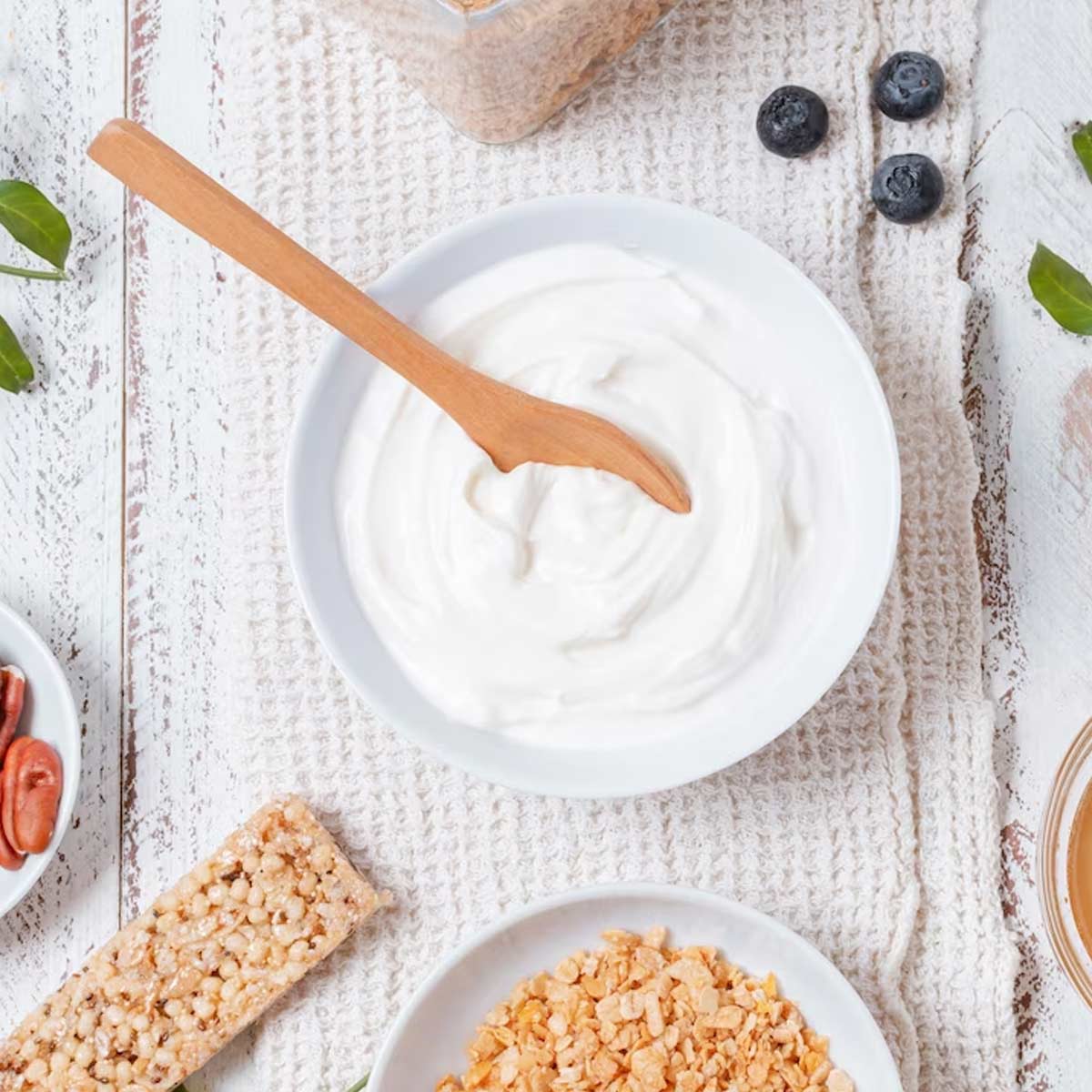 how to make greek yogurt india