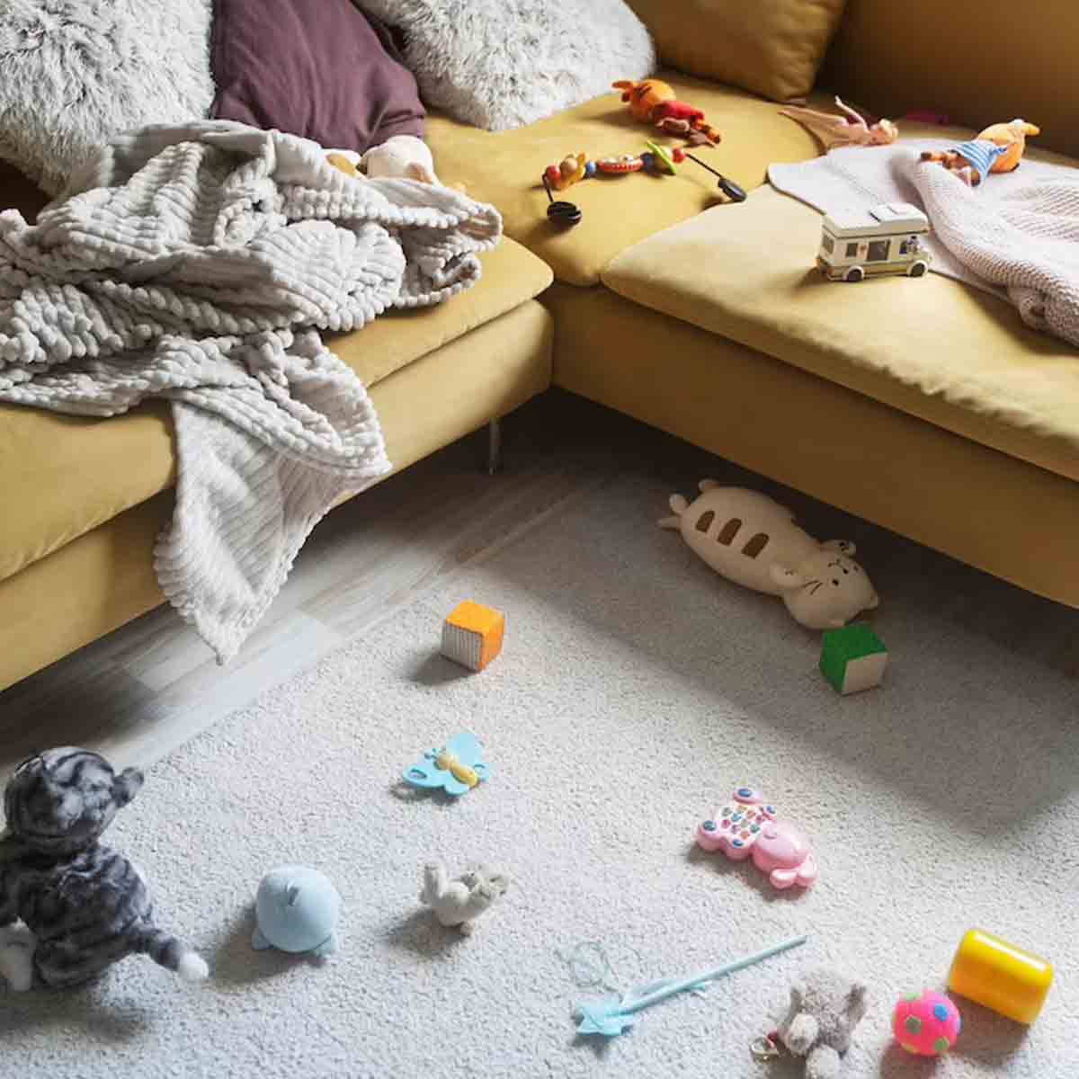 how to organise home in hindi