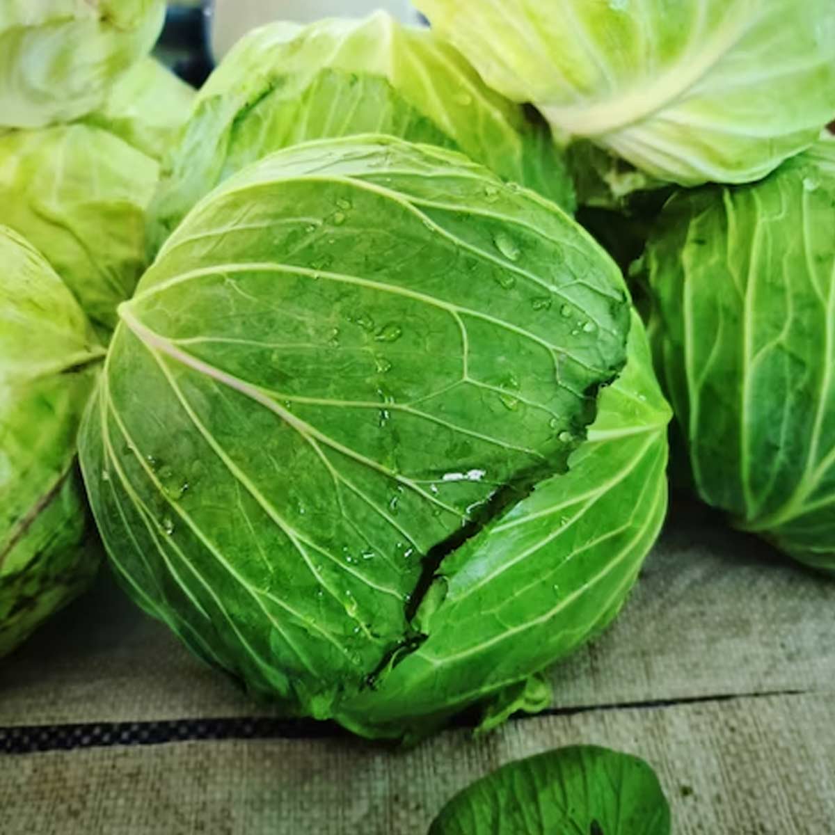 Cabbage Benefits சத்தான முட்டைகோஸின் 5 சிறந்த ஆரோக்கிய நன்மைகள்! 5