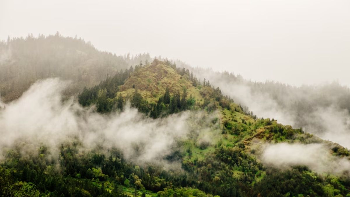 kerala places to visit