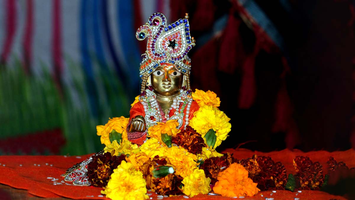 Laddu Gopal घर में किस धातु के बने लड्डू गोपाल रखें Which Metal Of Laddu Gopal Should We Keep 5223