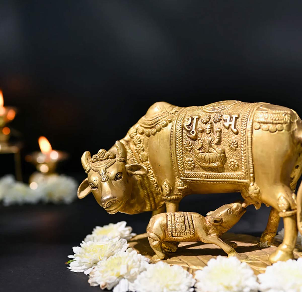 money symbol idols of animals significance