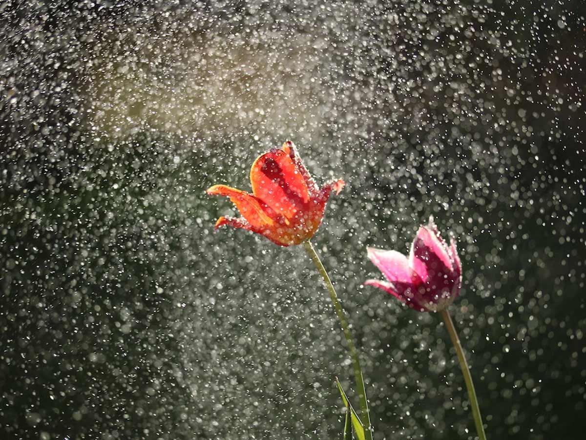 monsoon caption whatsapp