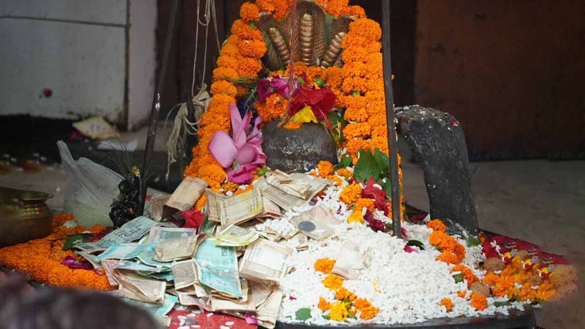offer these things to bhagwan shiv on friday