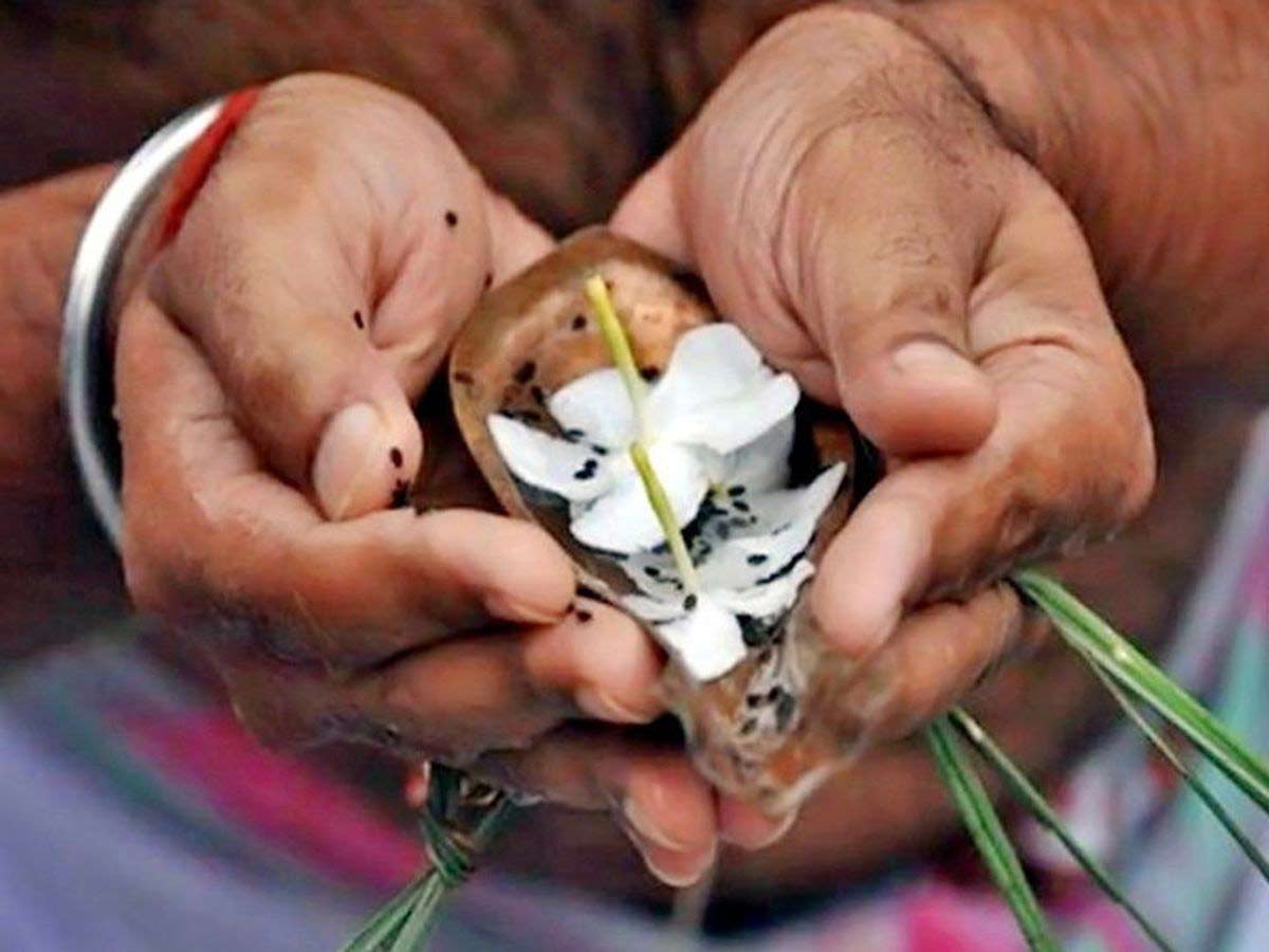 pitru shradh in pitru paksha