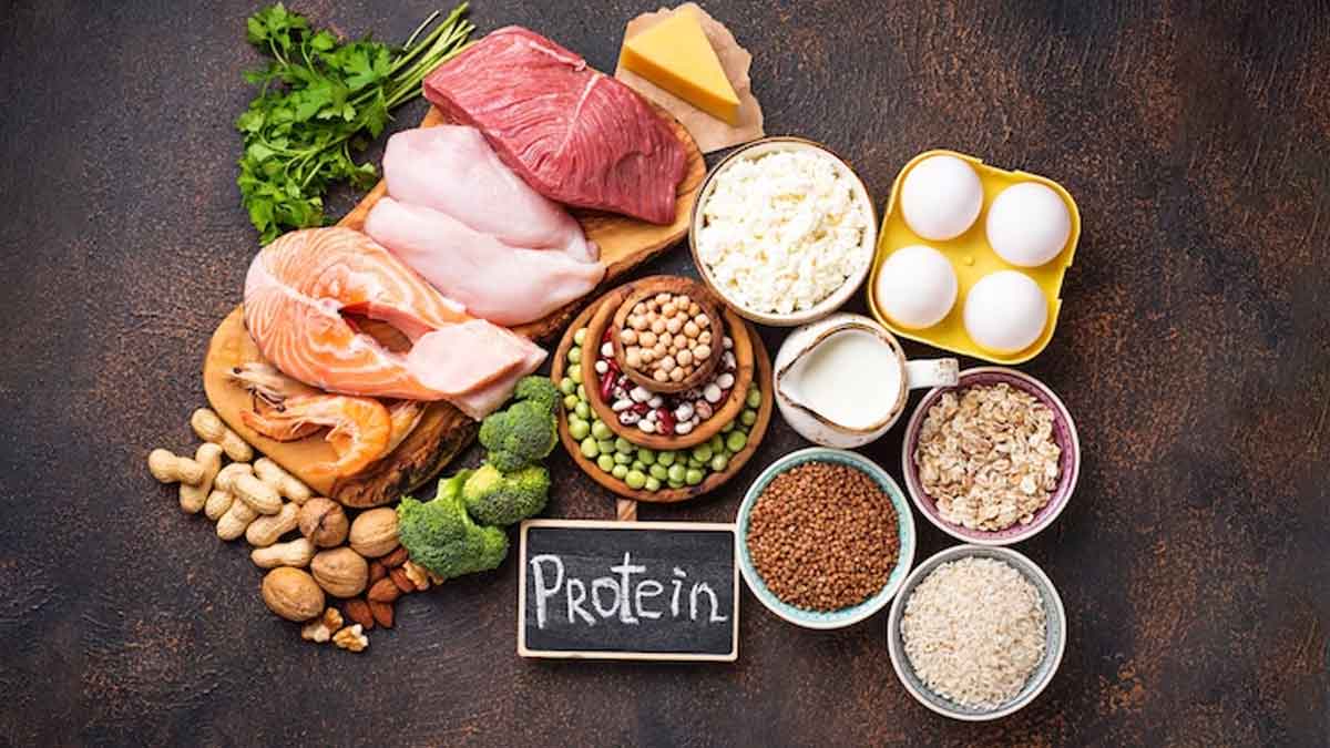 protein-for-weight-loss