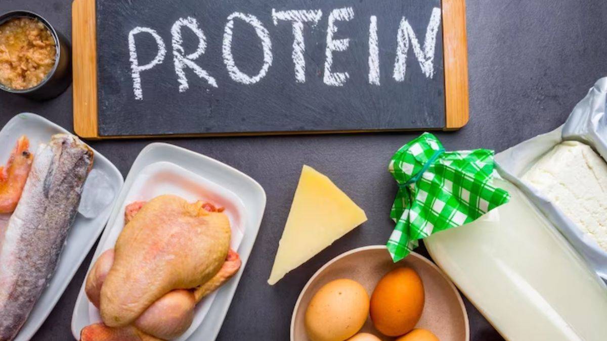 rich-protein-foods