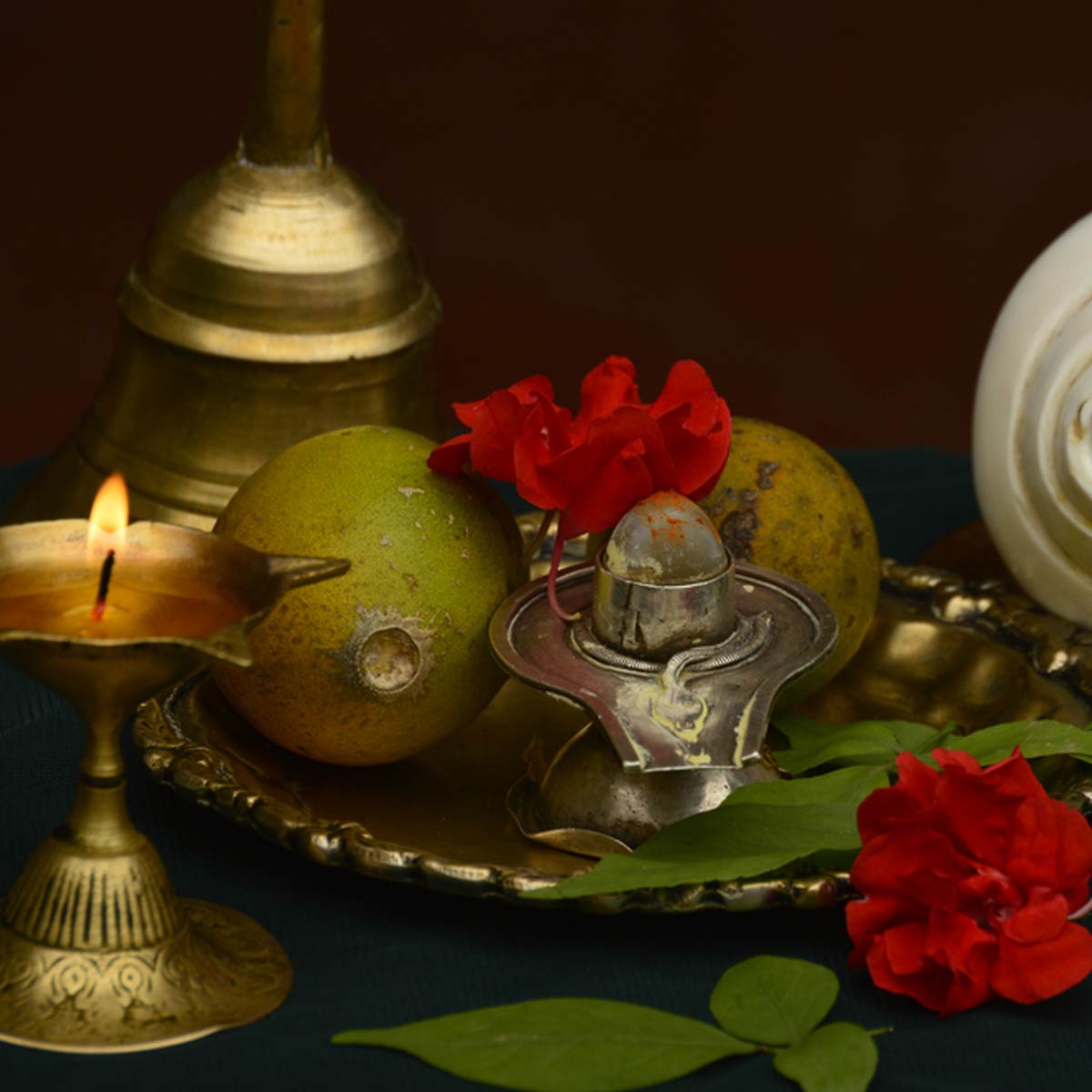 sawan  lord shiv puja