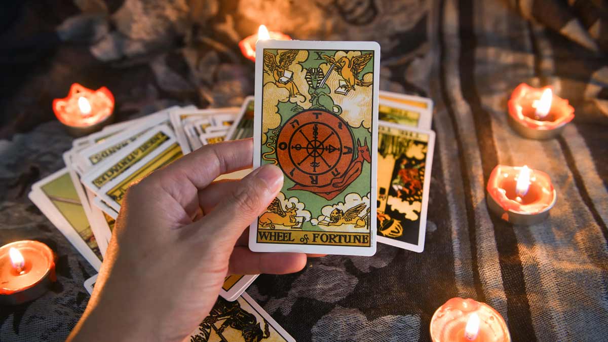 Monthly Tarot August 2023: टैरो कार्ड एक्सपर्ट जीविका शर्मा से जानें ...