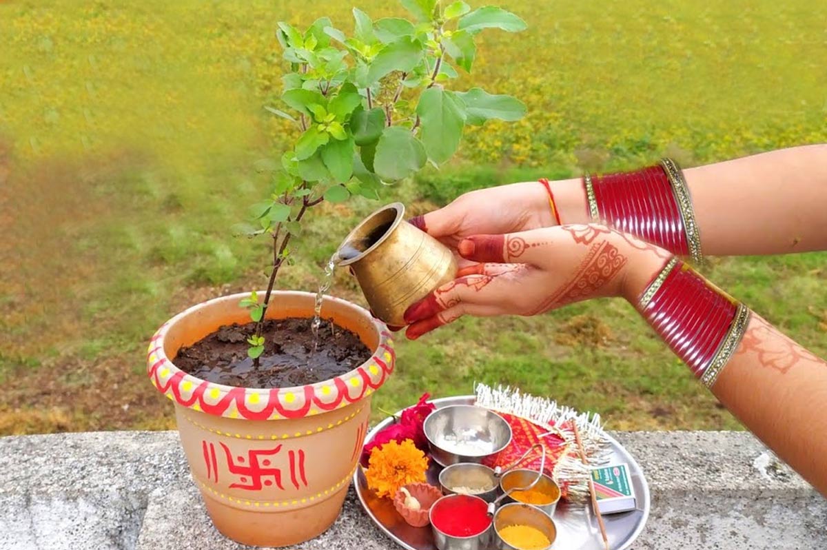 tulsi puja at home rules