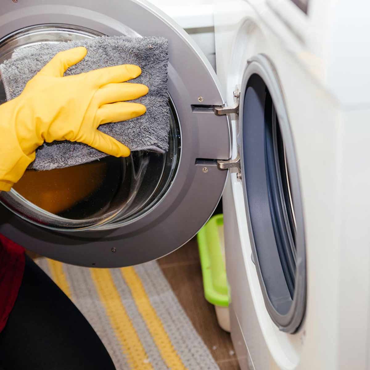 washing machine gasket cleaning