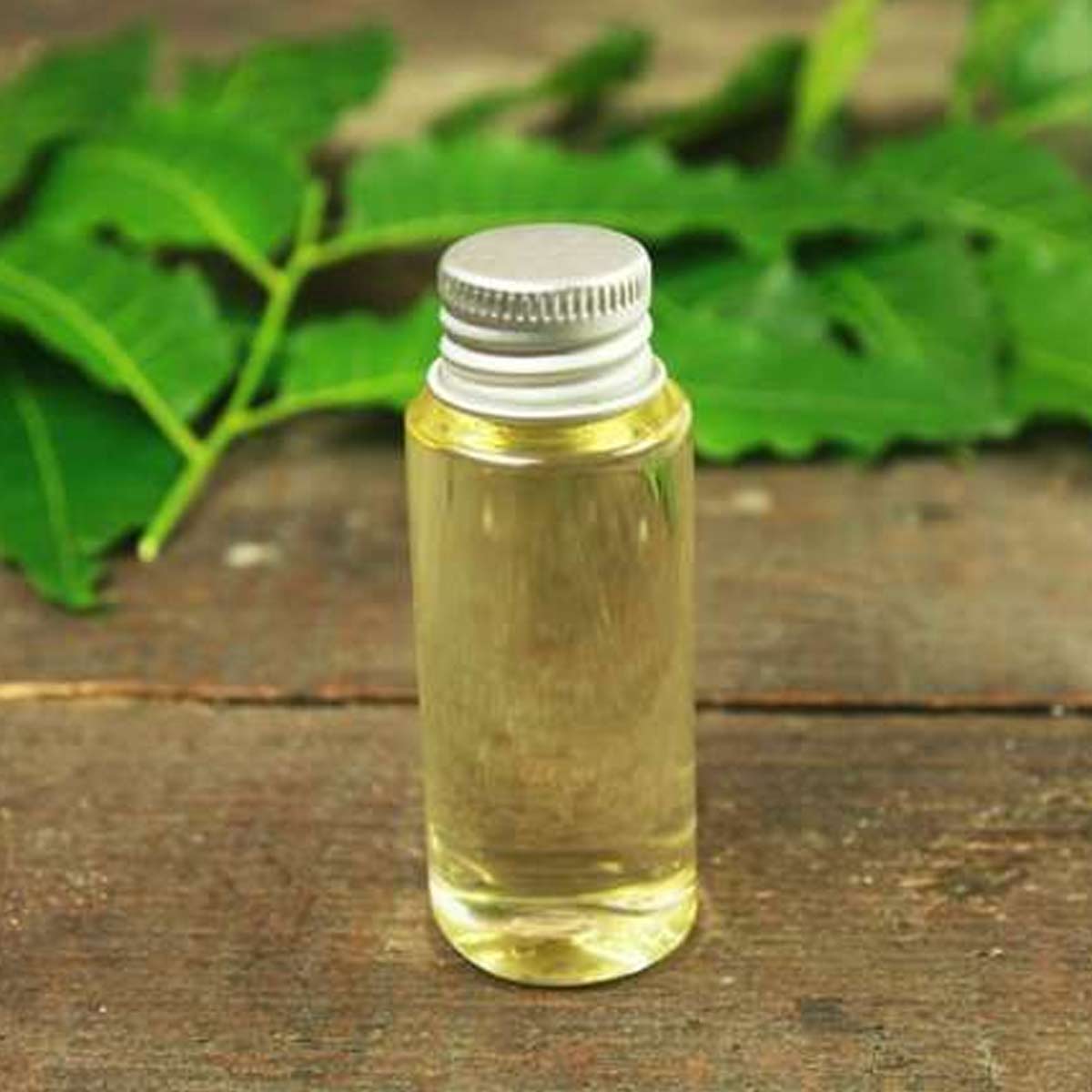 ways to get rid of flying ants during monsoon with home remedies