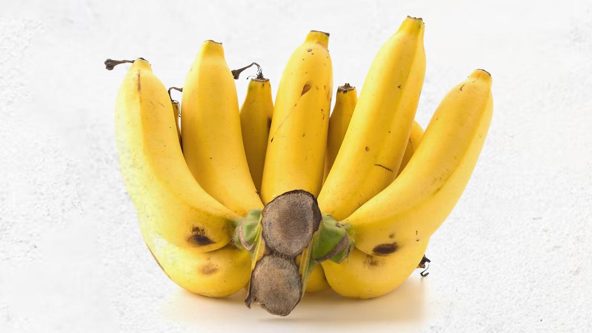 Banana