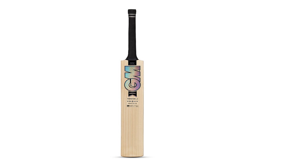 Best Cricket Bats In India Helps You Hit Every Ball Out Of The Park